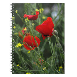Cuaderno - Amapolas Rojas