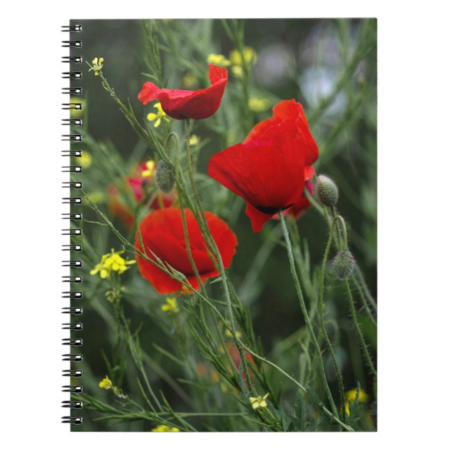 Cuaderno - Amapolas Rojas (Frente)