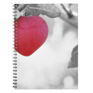 Cuaderno Amar a Apple
