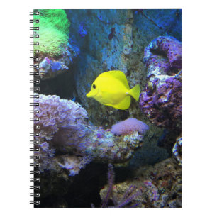 Cuaderno Amarillo