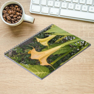 Cuaderno Amarillo Brugumansia Bloom Floral