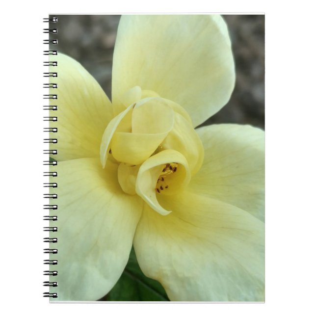 Cuaderno amarillo de la flor (Frente)