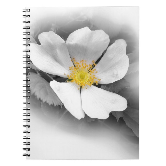 Cuaderno amarillo en tonos grises (Frente)