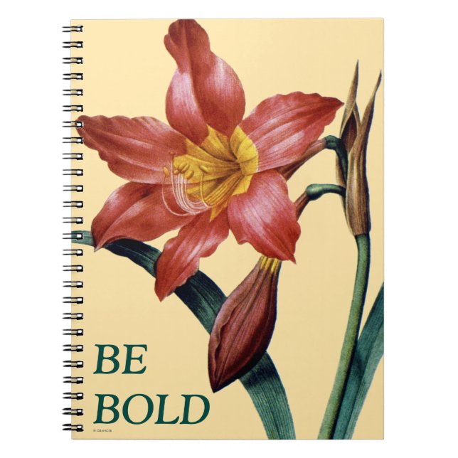 Cuaderno Amaryllis (Frente)