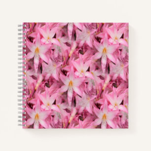 Cuaderno Amaryllis Galore.........