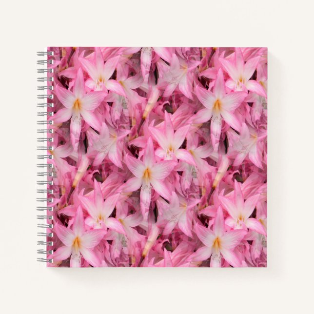Cuaderno Amaryllis Galore......... (Anverso)