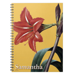 Cuaderno Amaryllis rayado