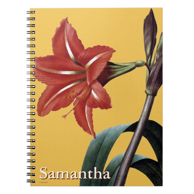 Cuaderno Amaryllis rayado (Frente)
