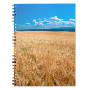 Cuaderno América del Norte, Estados Unidos, Idaho. Campo d