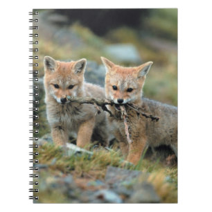 Cuaderno América del Sur, Chile, Nacional Torres del Paine