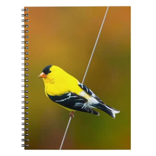 Cuaderno American Goldfinch - Fotografía original (Frente)