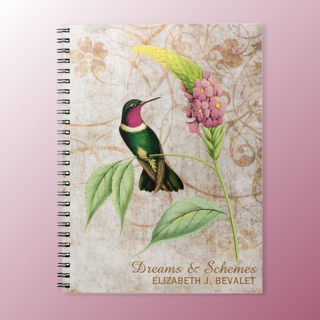 Cuaderno Amethyst Throated Hummingbird (Subido por el creador)