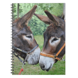 Cuaderno Amigos del burro