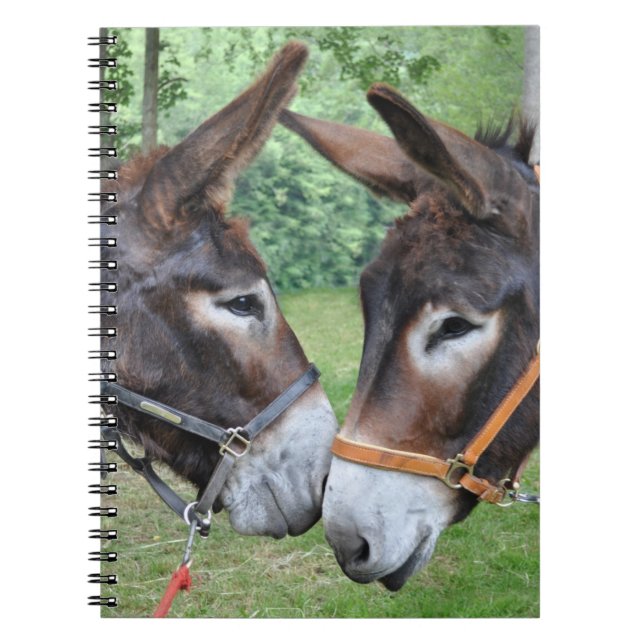 Cuaderno Amigos del burro (Frente)