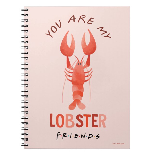Cuaderno AMIGOS™ | Eres Mi Gráfica De Acuarela De Lobster (Frente)