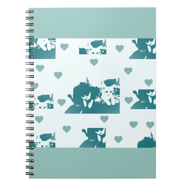Cuaderno Amigos Felinos. (Frente)
