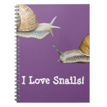 Amo diseño del caracol de los caracoles
