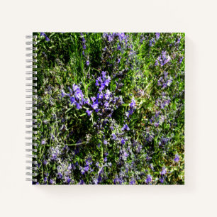 Cuaderno Amo Lavanda.....