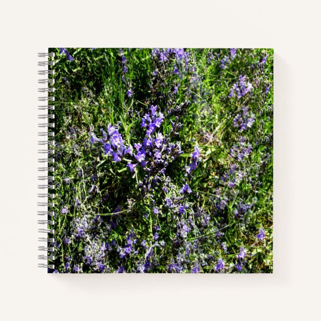 Cuaderno Amo Lavanda..... (Anverso)