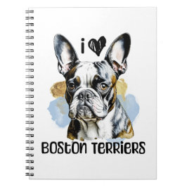 Cuaderno Amo los Territorios de Boston
