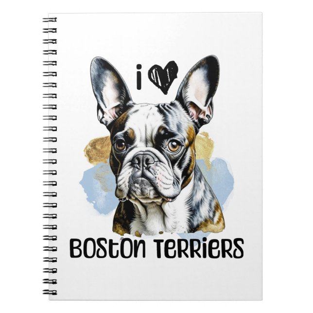 Cuaderno Amo los Territorios de Boston (Frente)