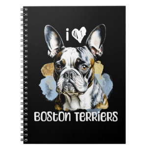 Cuaderno Amo los Territorios de Boston