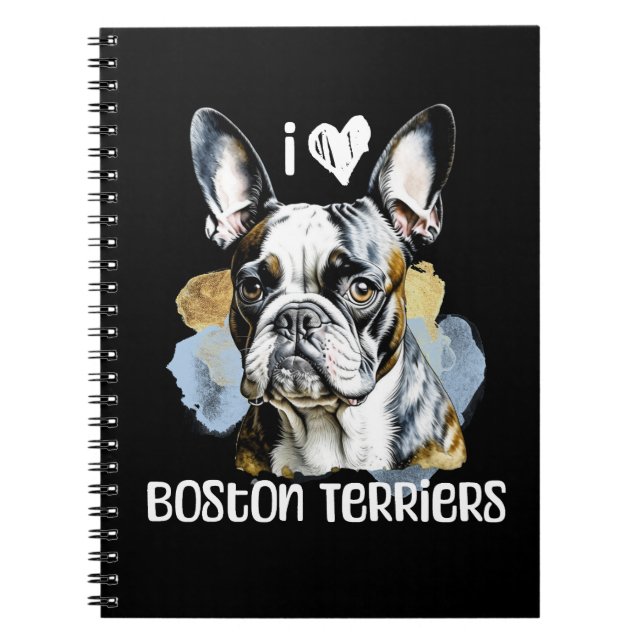 Cuaderno Amo los Territorios de Boston (Frente)