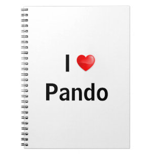 Cuaderno Amo Pando
