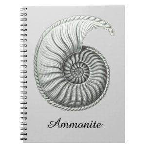 Cuaderno Amonita