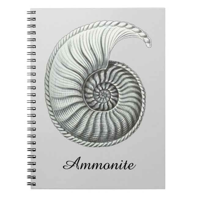 Cuaderno Amonita (Frente)