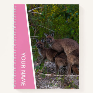 Cuaderno Amor de canguro Australia Animal lindo, Rosa perso