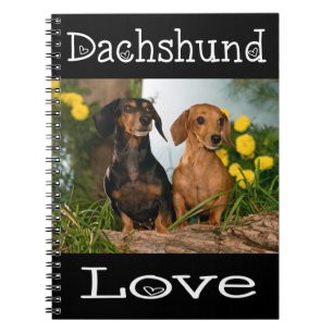 Cuaderno Amor de Dachshund Cachorro marrón y negro