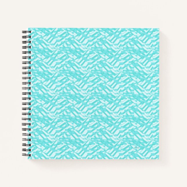 Cuaderno Amor de la capa marina... (Anverso)
