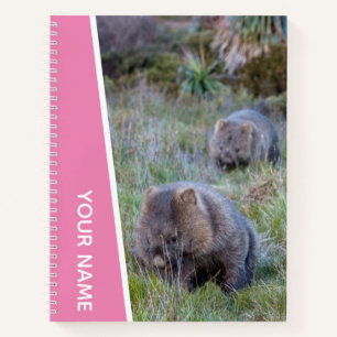 Cuaderno Amor de Wombat Australia Animal Adorable, Rosa