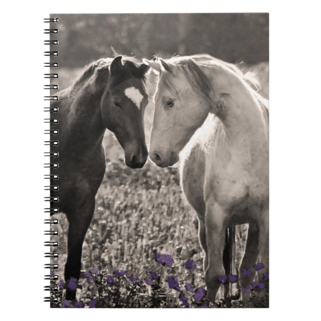Cuaderno Amor del caballo (Frente)