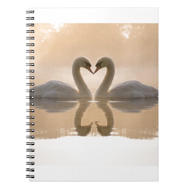 Cuaderno Amor del cisne (Frente)