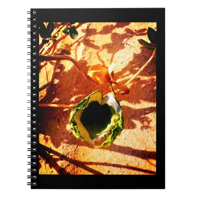 Cuaderno Amor del desierto (Frente)