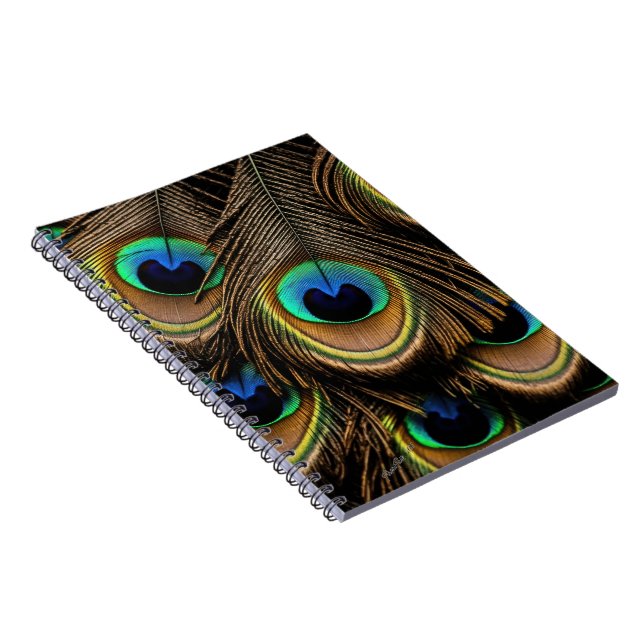 Cuaderno Amor del pavo real (Lado Derecho)