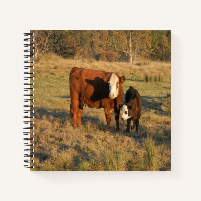 Cuaderno Amor maternal... (Anverso)