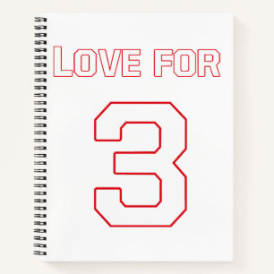 CUADERNO AMOR POR 3