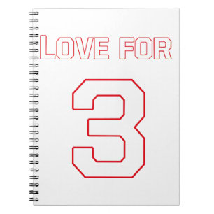 CUADERNO AMOR POR 3