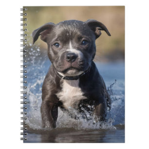 Cuaderno Amueblado De Cachorros En El Mar,