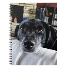 Cuaderno Añadir la foto de su perro a este Personalizado