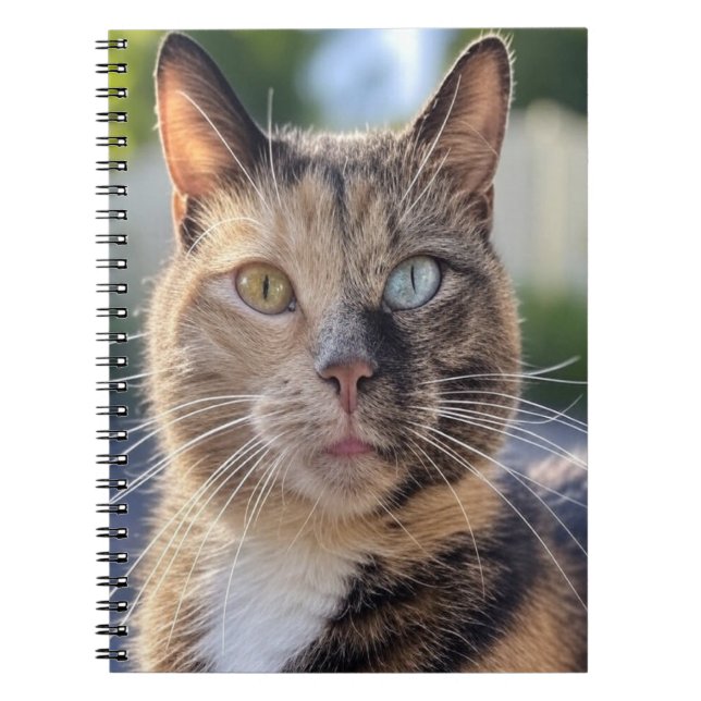 Cuaderno Añadir Personalizar de fotos de gato (Frente)
