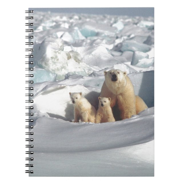 Cuaderno Añadir SLOGAN para salvar el hielo del planeta de  (Frente)