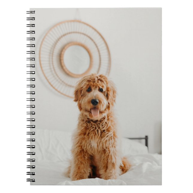 Cuaderno Añadir su propio logotipo de imagen fotográfica (Frente)