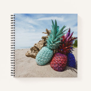 Cuaderno Anápoles coloridas en una playa de arena