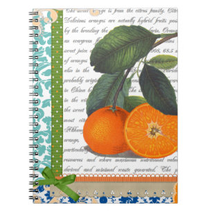 Cuaderno anaranjado de la receta de la fruta de la