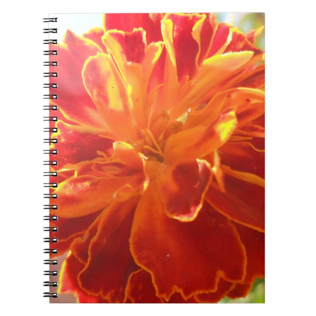 Cuaderno Anastaise (Frente)