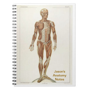 Cuaderno Anatomía anterior
